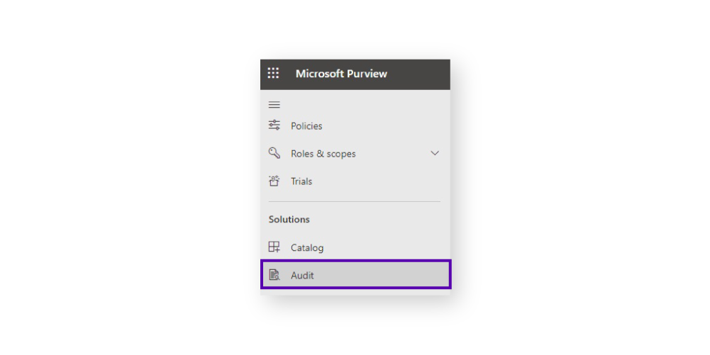 Microsoft Purviewaudit screenshot