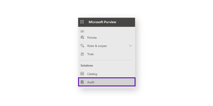 Microsoft-Purview-audit-screenshot
