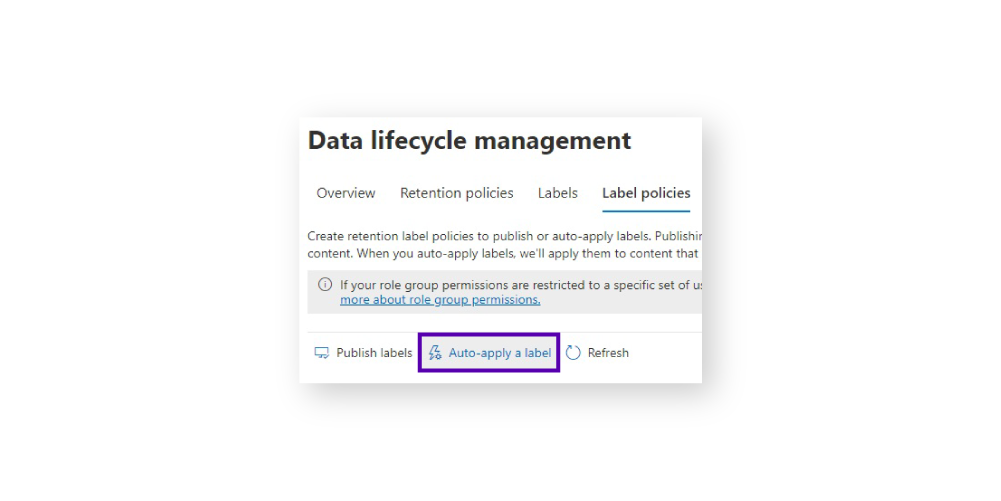 Microsoft Purview auto apply a label