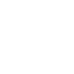 SOC_logotype_white-300x298
