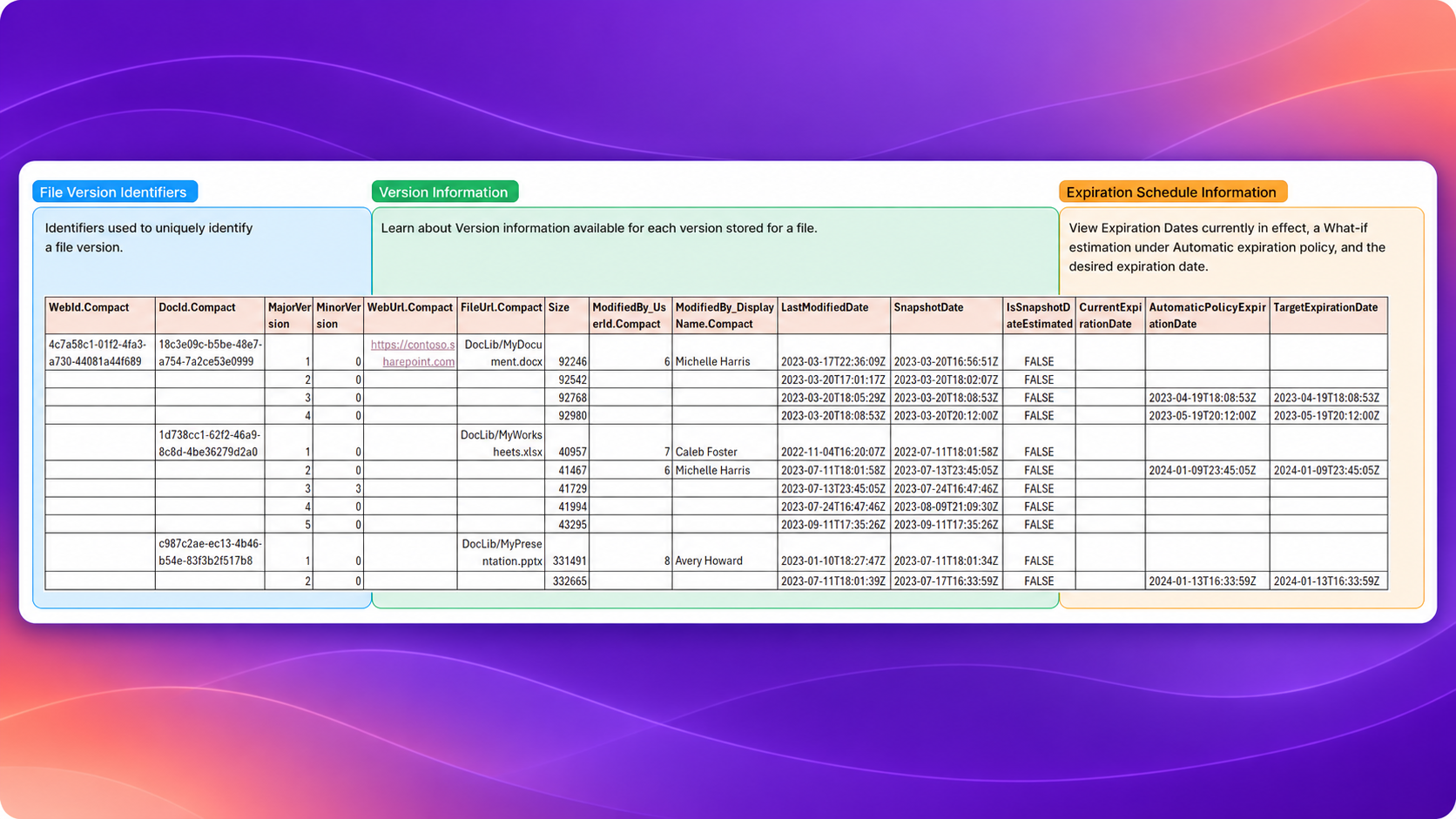 SharePoint file version report showing file version identifiers, version metadata, snapshot dates, and expiration schedule information