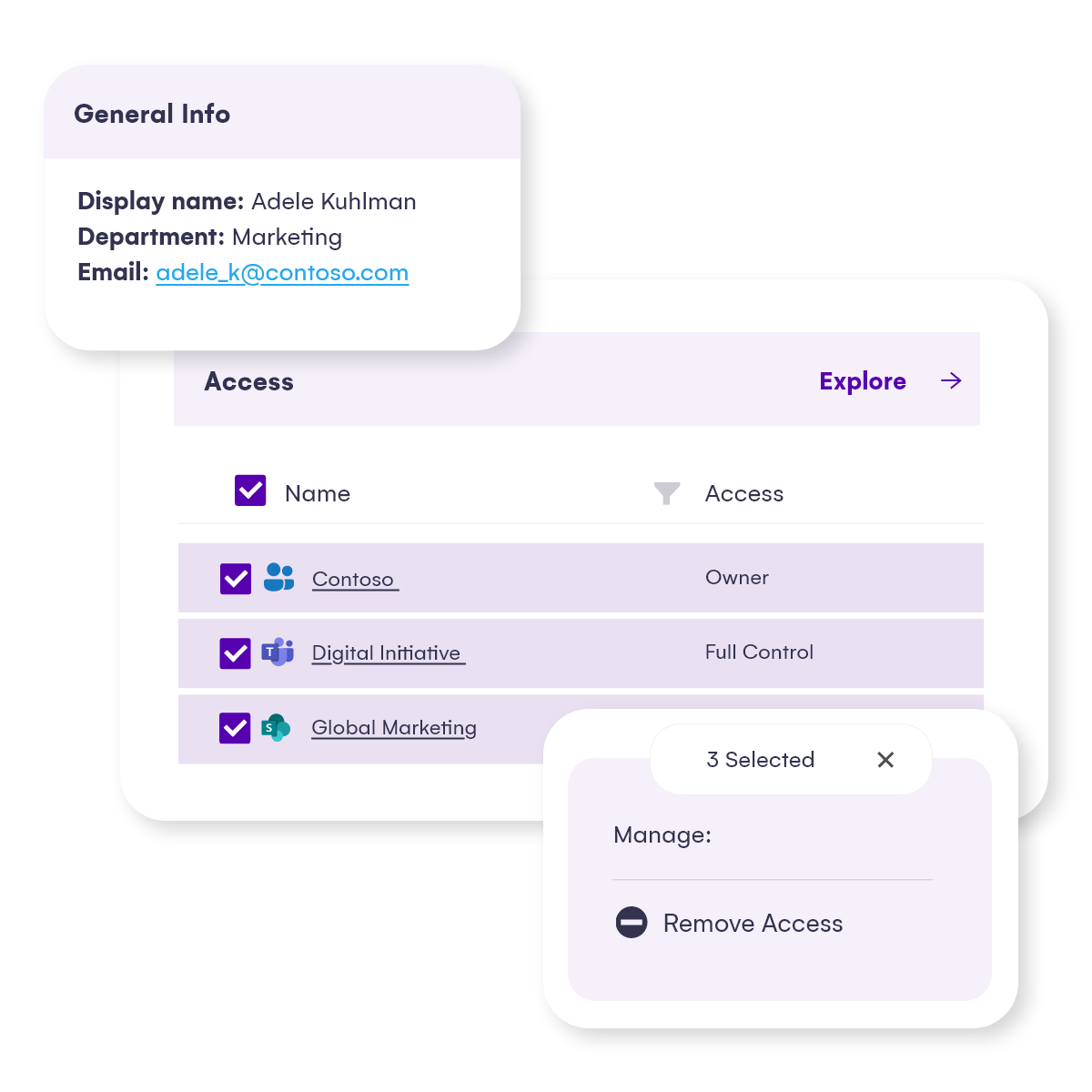 User-Access-Report