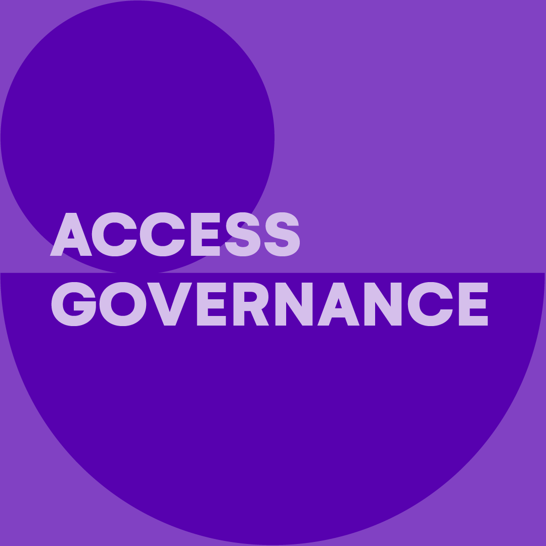 access-governance-feature