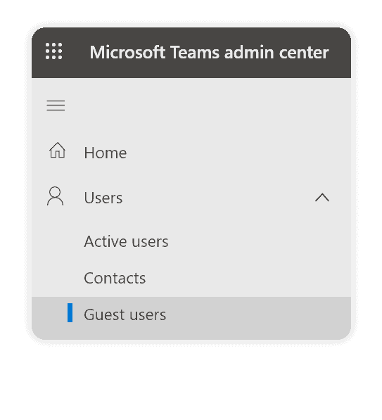 Viewing guest users in Microsoft Teams 