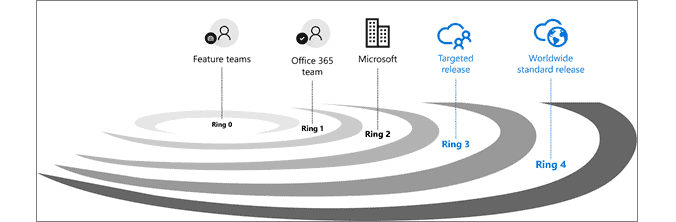 Microsoft Targeted Release Validation