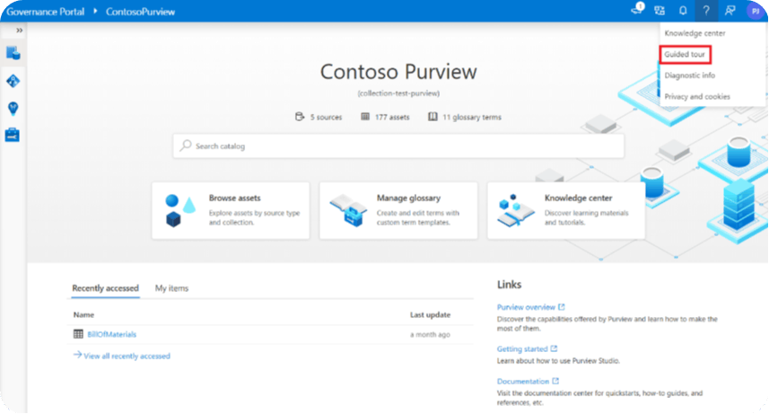 Microsoft Purview Governance Portal